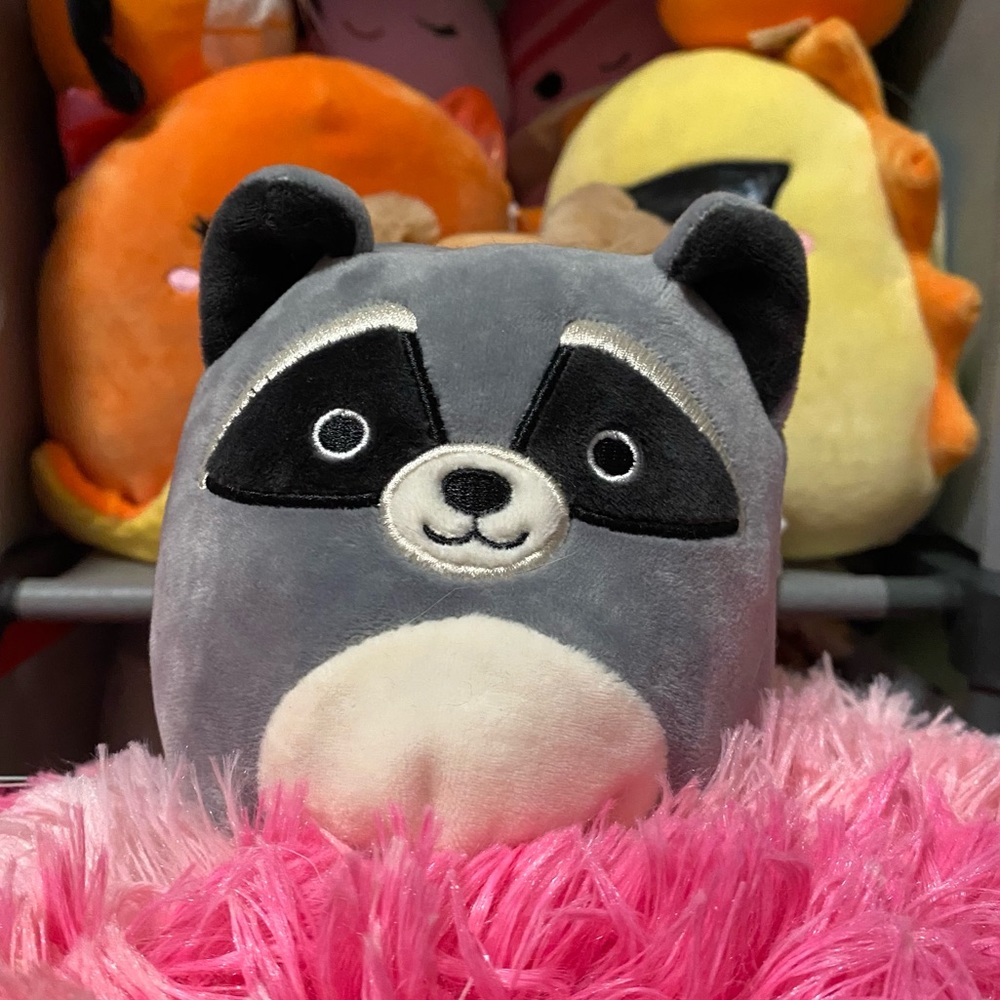 Squishmallows Flip 5” Chip Beaver & Rocky Racoon Flip-A-Mallow - Picture 4 of 9